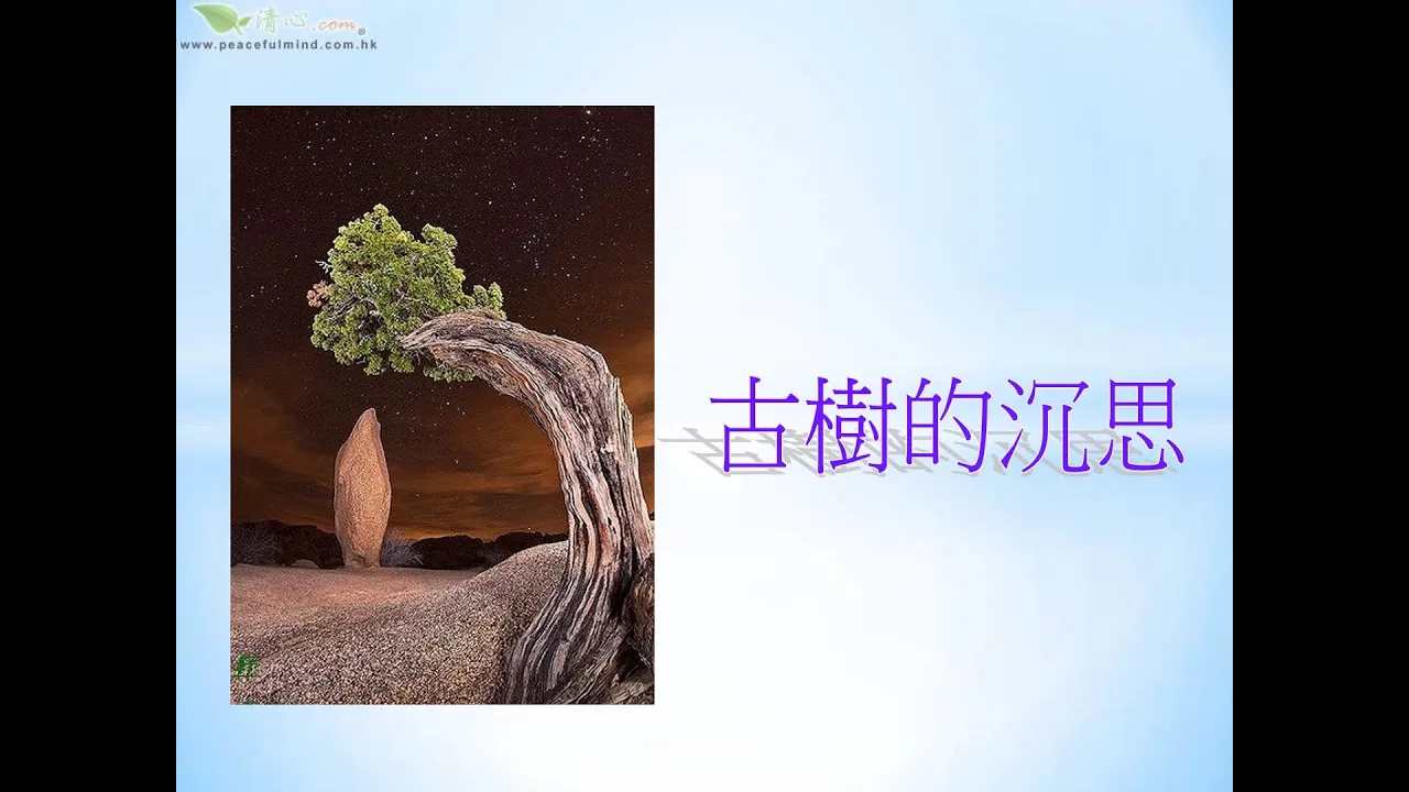 古樹的沉思