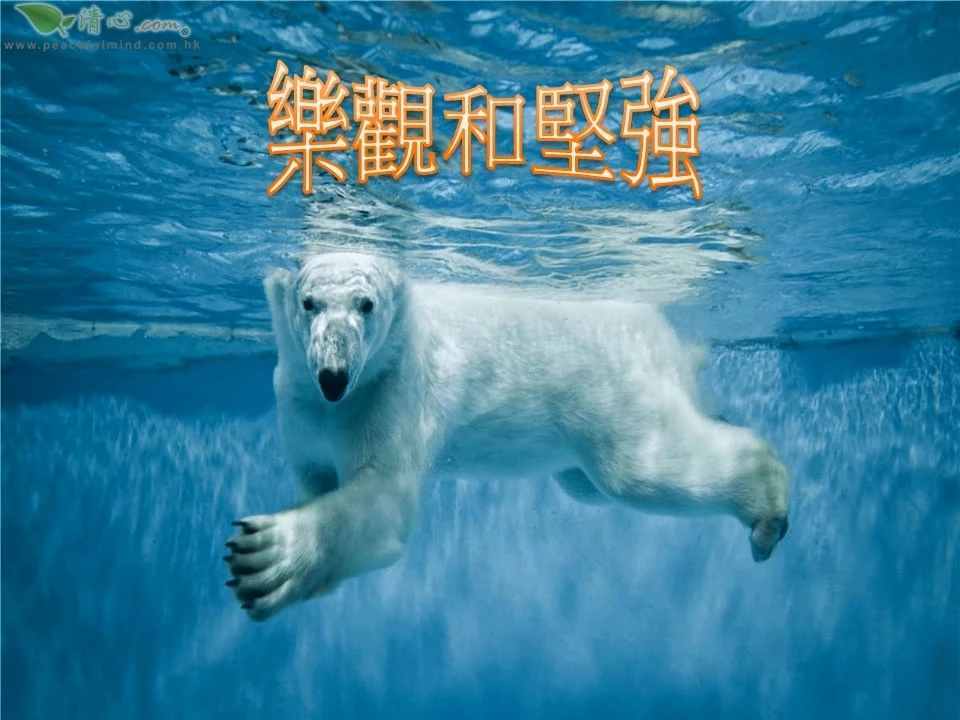 樂觀和堅強