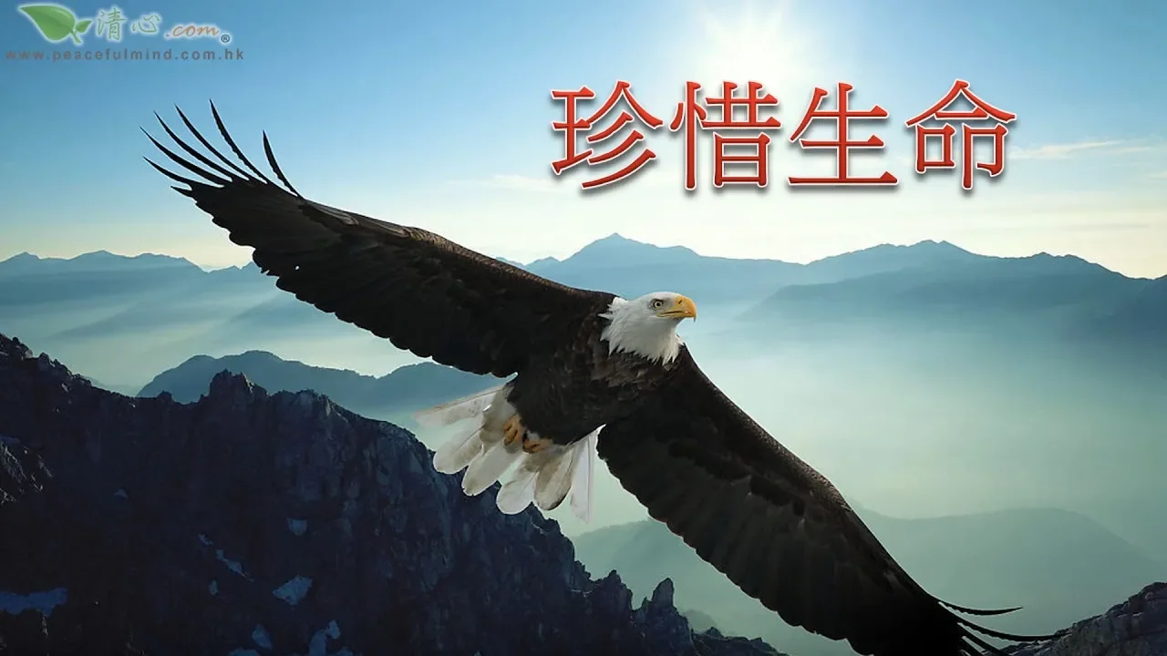 珍惜生命