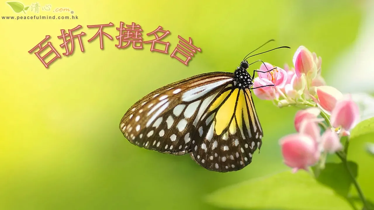 百折不撓名言