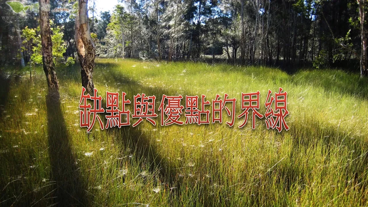缺點與優點的界線