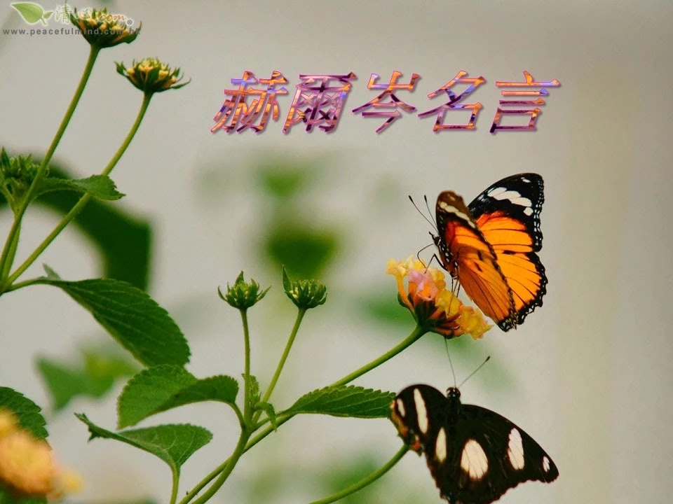 赫爾岑名言