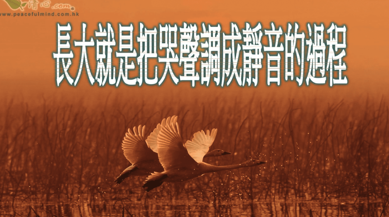 長大就是把哭聲調成靜音的過程（盧瑞珊博士）