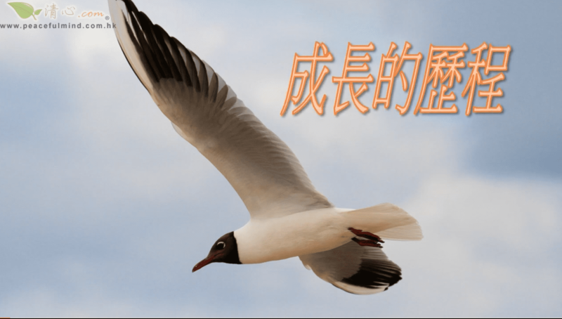 成長的歷程（盧瑞珊博士）