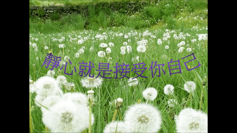 靜心就是接受你自己（盧瑞珊博士）