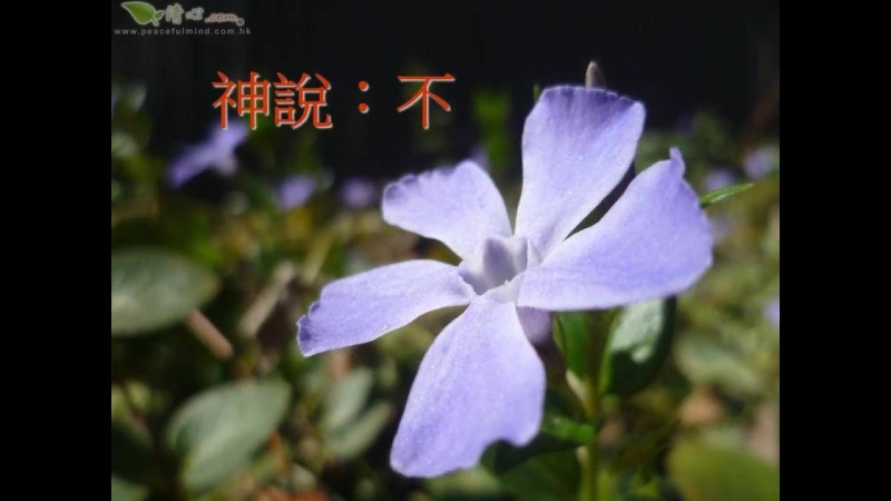 神說：不！（盧瑞珊博士）