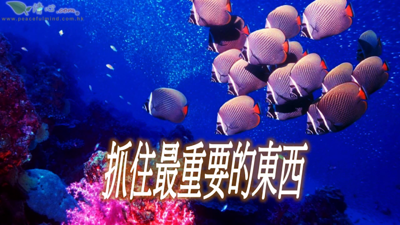 抓住最重要的東西（盧瑞珊博士）